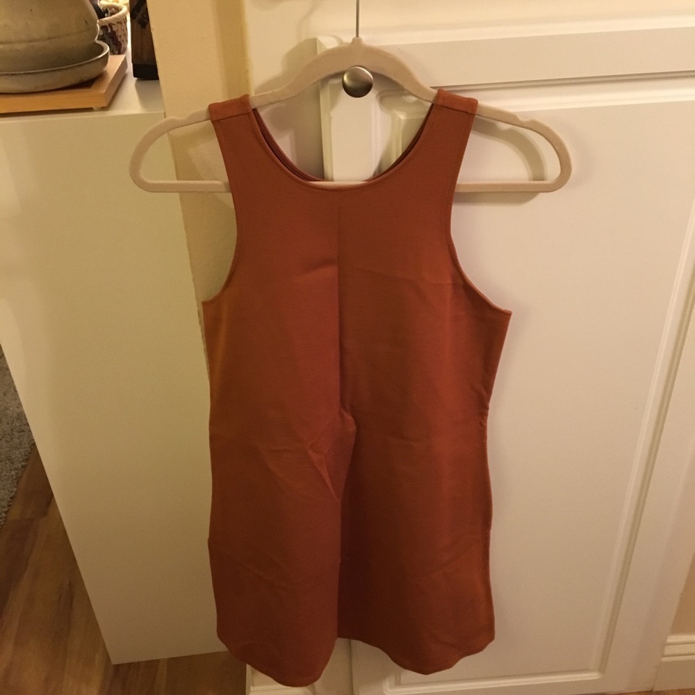 Rust form fitting dress